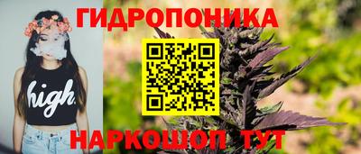 гидропоника Брянск