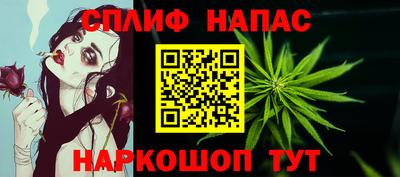 гидропоника Брянск